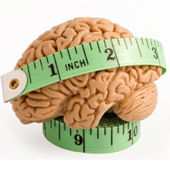 measure brain